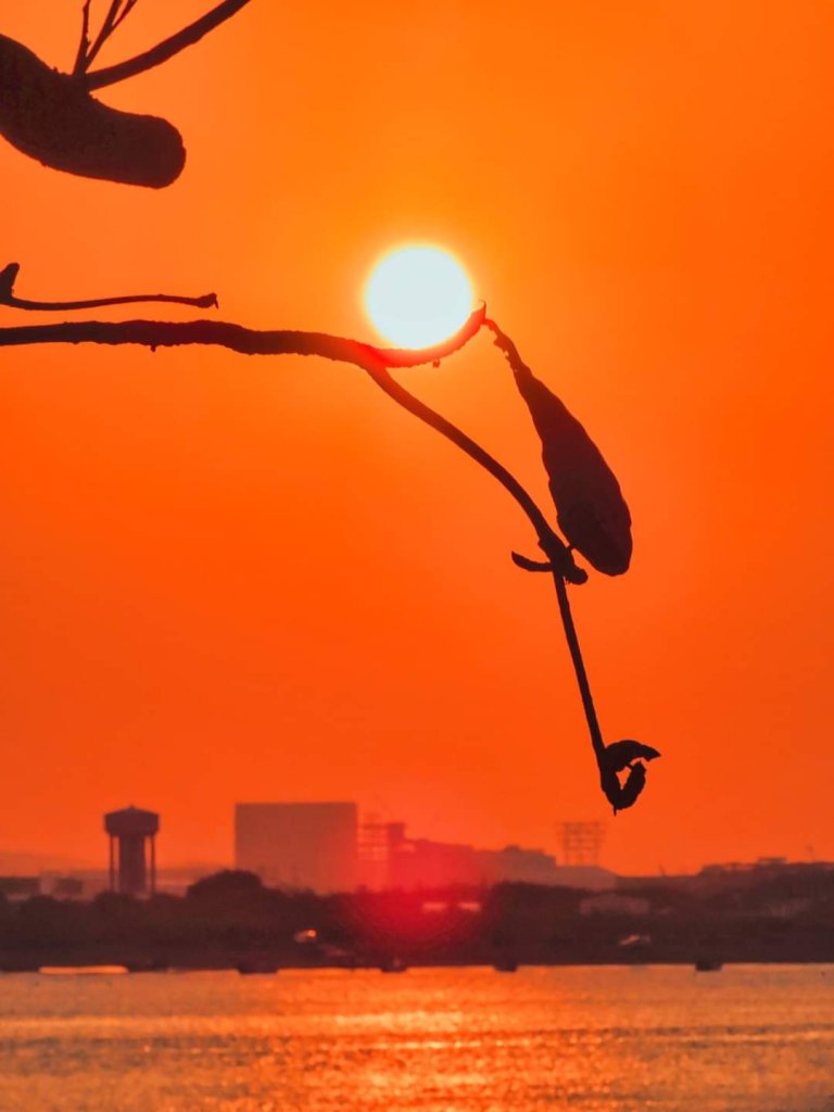 臺北趴趴走｜文山森林、台大、林森、淡水、大安森林、象山_2436484