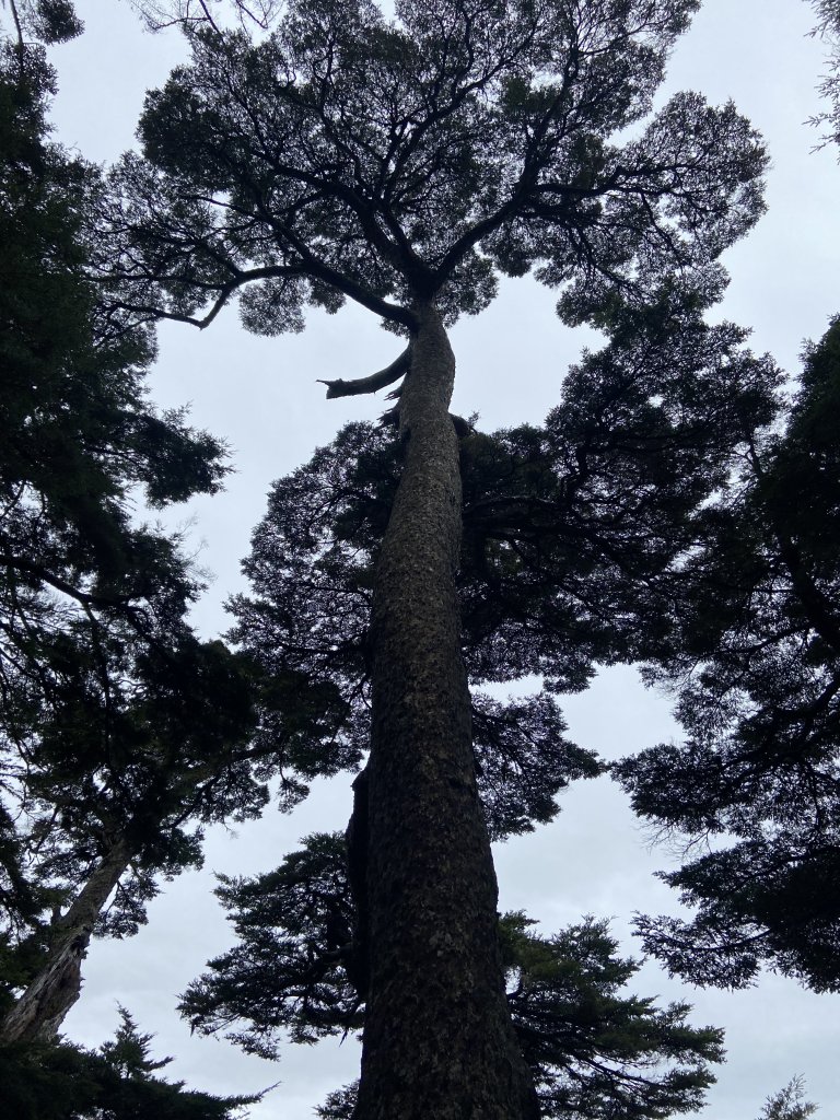 20230515-16玉山前西峰+遠望雨中的主東北_2436685