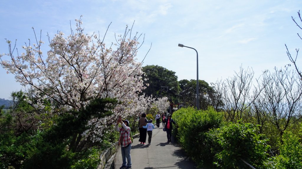 十八份水圳_1277600