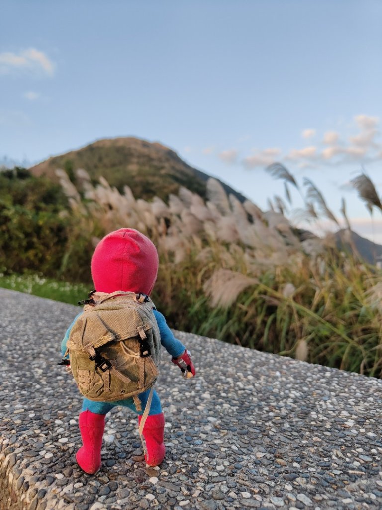 2023.11.28 基隆山_2547992