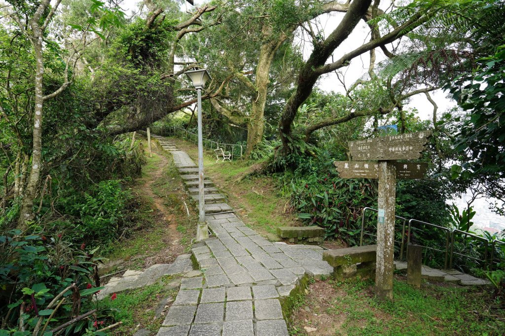 臺北 南港 南港山、拇指山、象、獅、豹、虎、四分里山、茅草埔山_2803420