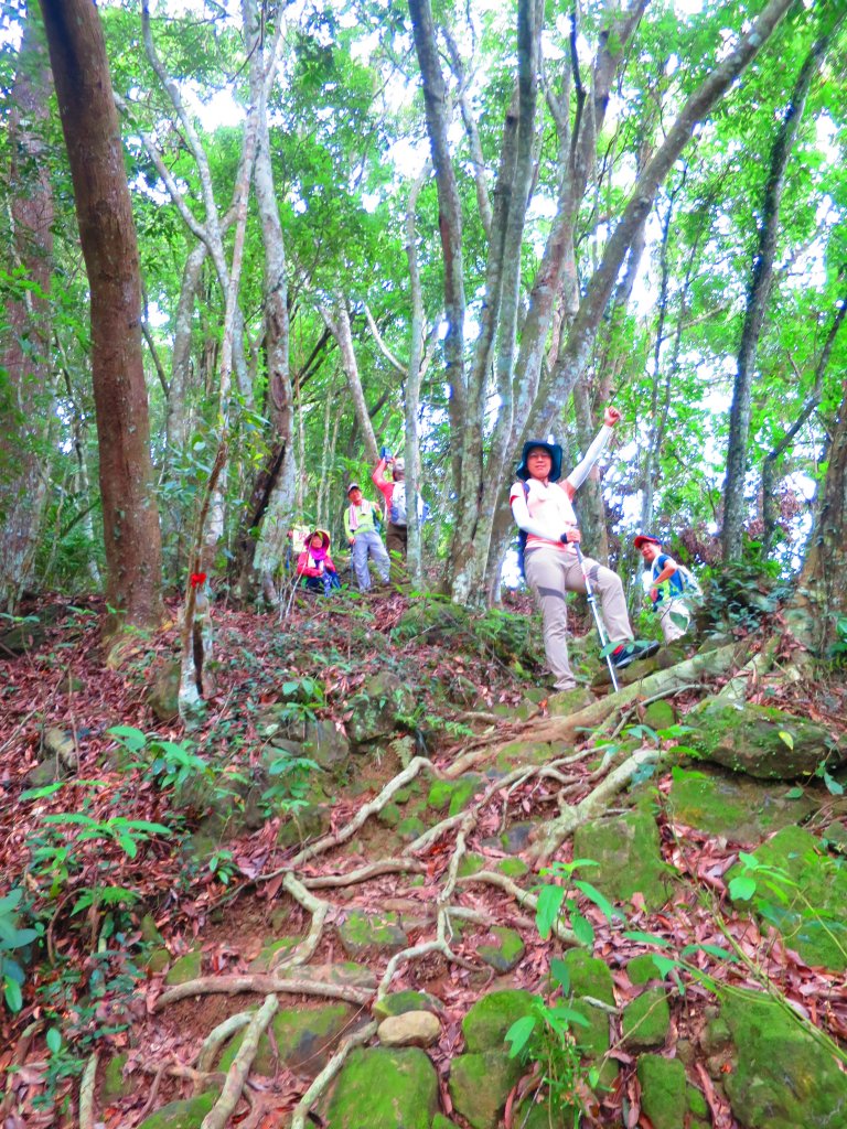 【新竹關西】登赤柯山 小關西_1190562