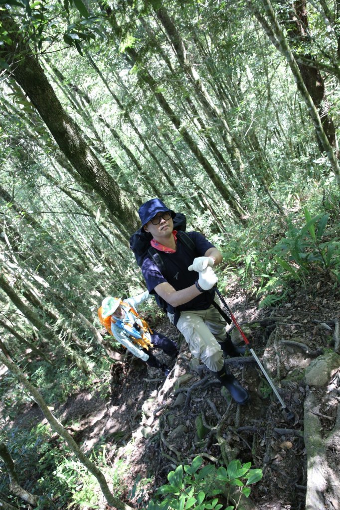 水樣森林 第一次在山裡過夜_658524