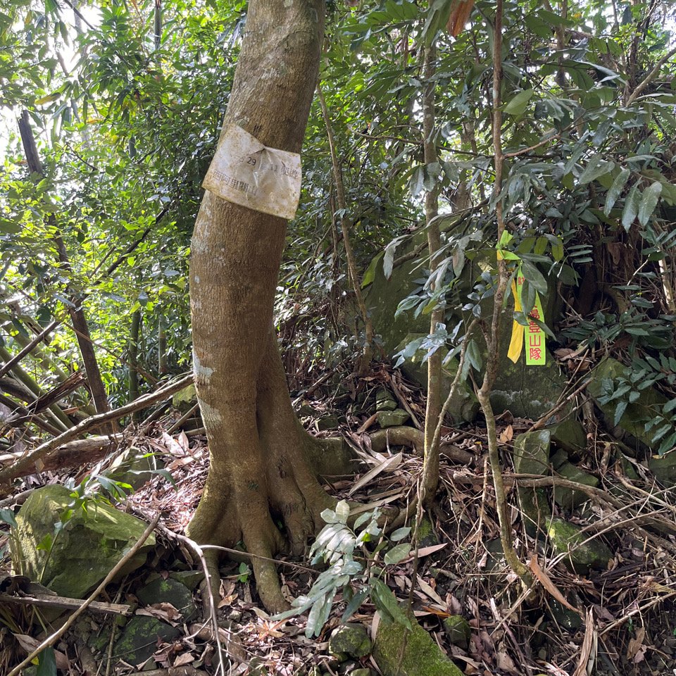 20251114_西阿里關山（高雄小百岳）封面圖