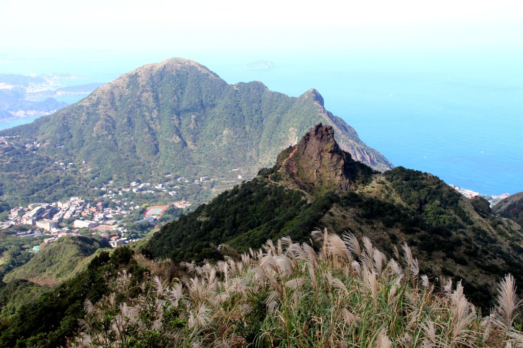 【金瓜石】漫山芒花怒放浪漫，礦山藍海奇景夢幻！_2964125