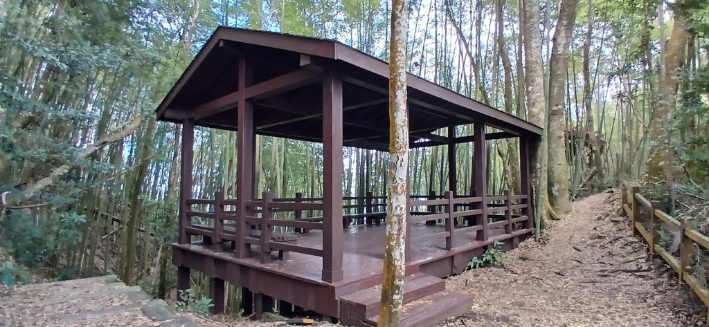 2025 1/27 石壁山_2700018