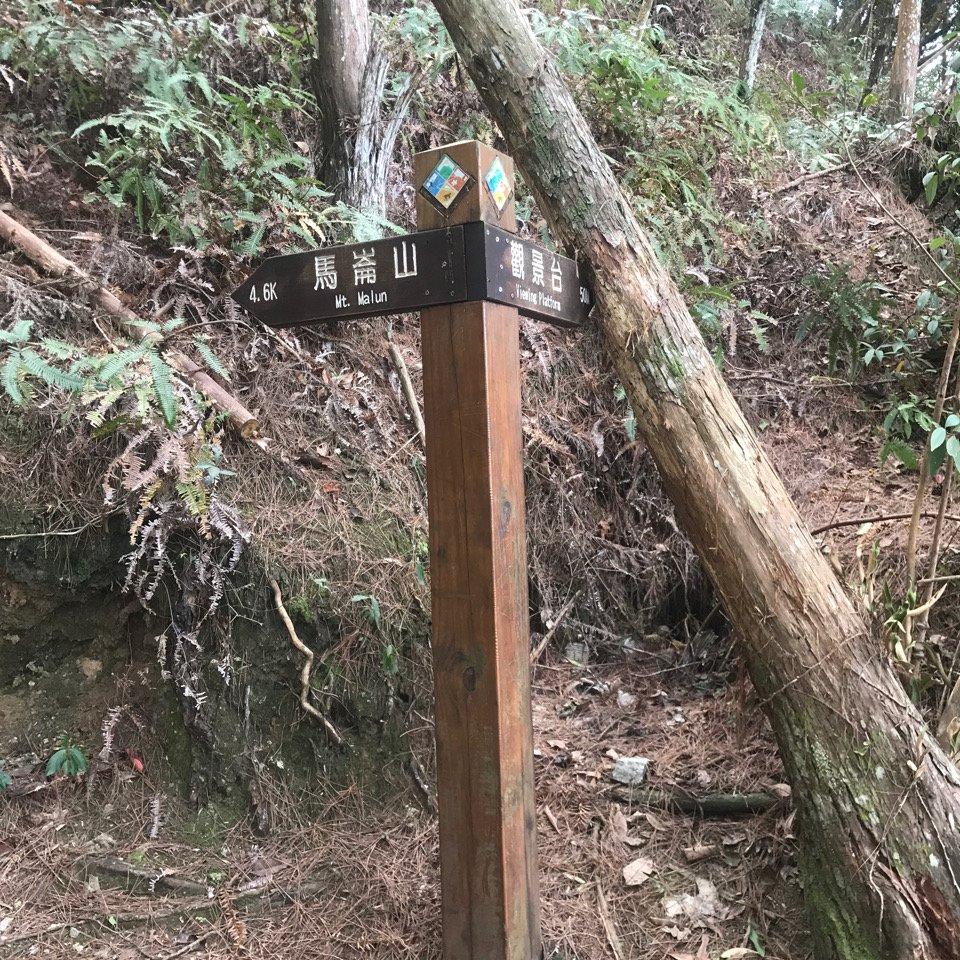 谷關七雄 馬崙山（老二）2023.03.04_2051371