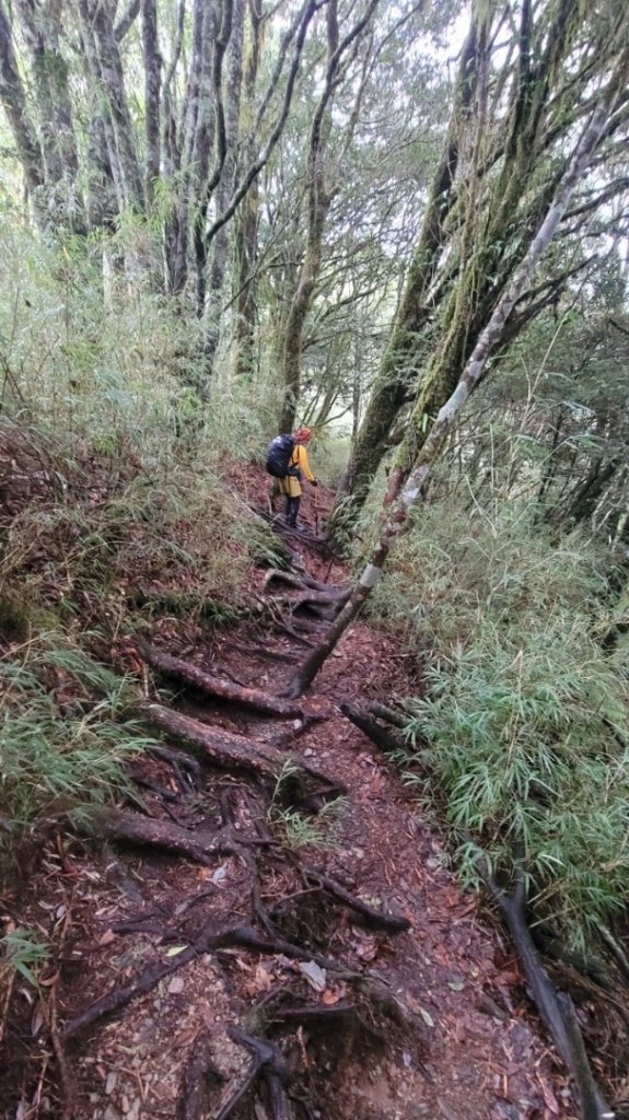 白姑大山_2130219