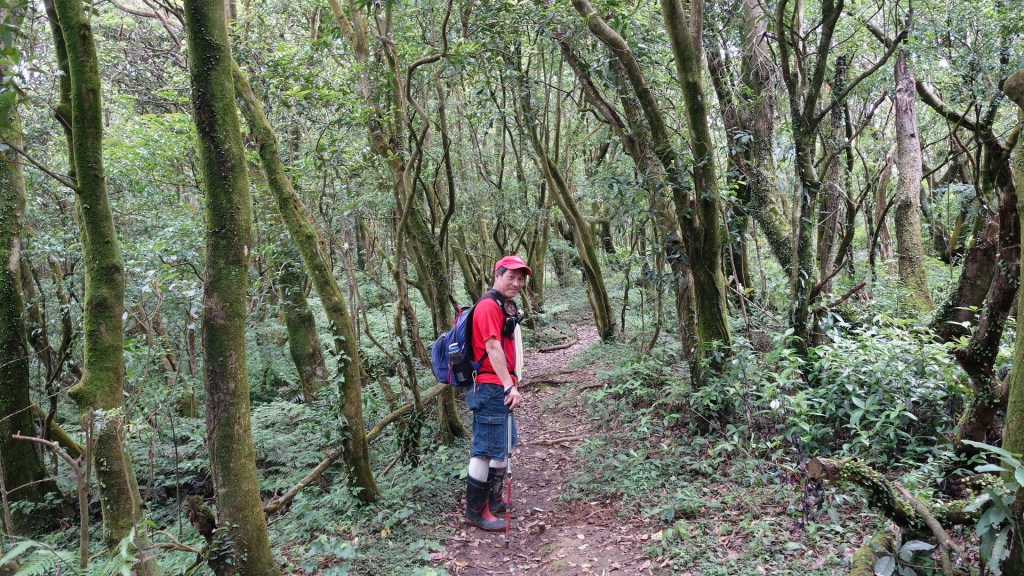 百年坪頂古圳與北五指山之草原驚艷_45708