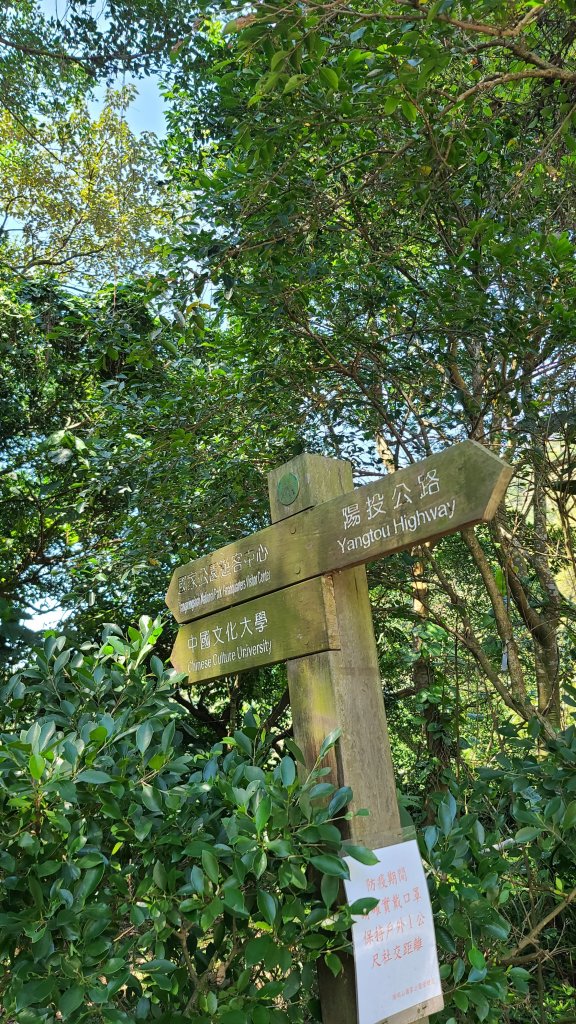 2022_0228巴拉卡到天母_1622182