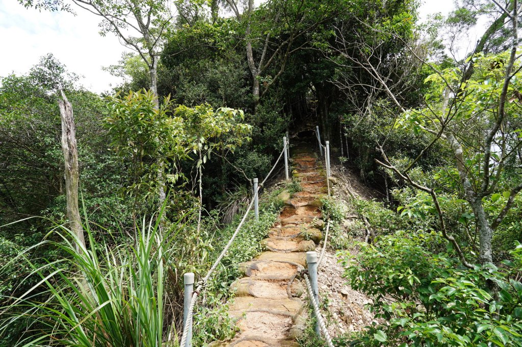 苗栗 長潭坑山、大坑尾山、三角山、雙峰山_2598396
