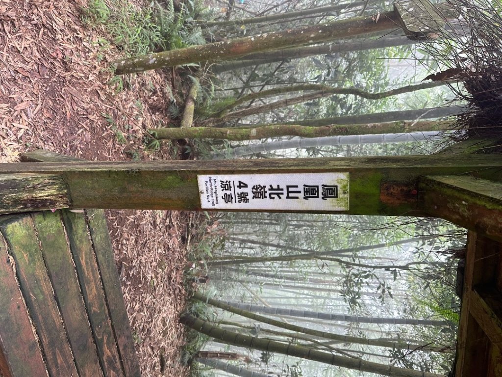 鳳凰山_3094600