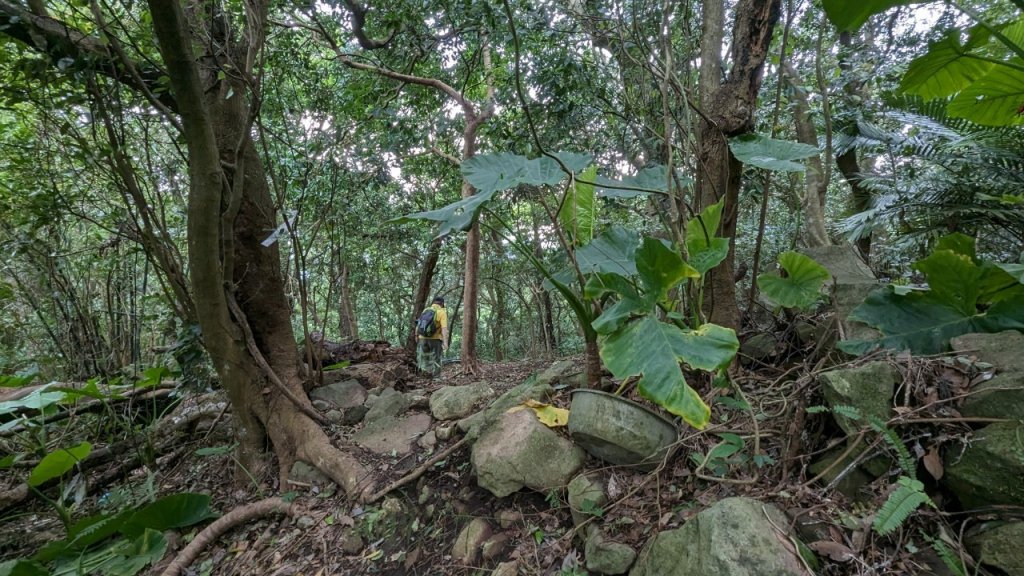 112.08.05湖山-紗帽山之旅_2240704