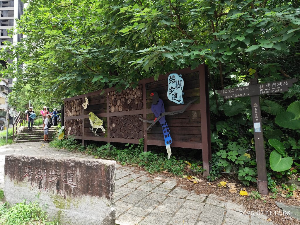 圓覺寺步道→新福本坑→碧湖步道→碧山公園→國立臺灣戲曲學院→碧湖公園→大港墘公園【臺北健走趣】封面圖