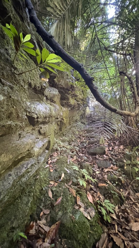 戲水（鴛鴦_2786666