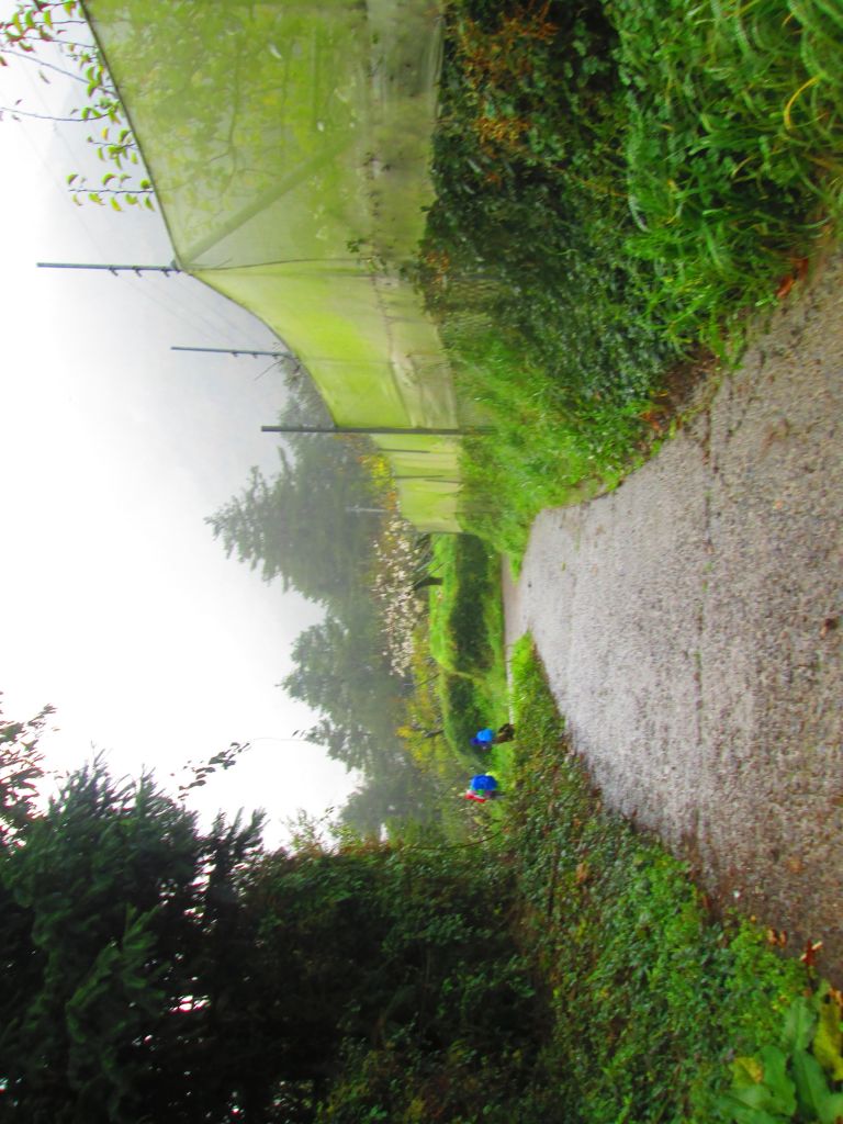 北一段 南湖前四峰_378591