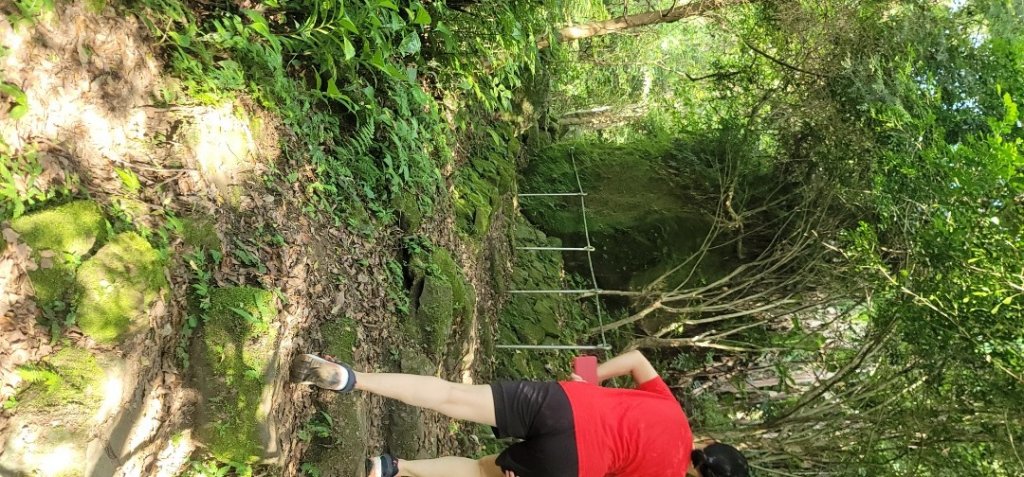 2022森遊竹縣 皮皮獅同樂會 金龜岩、猴洞步道 20220723_1789782