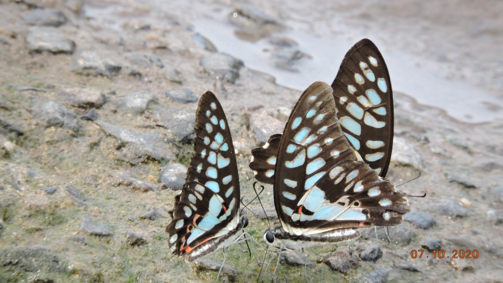 就是喜歡這個藍天白雲的FU_1028411