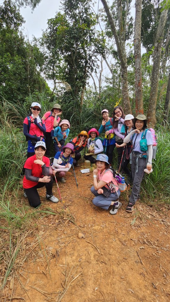 111/11/19杭菊限定：銅鑼-三義大縱走、龍貓土地公、銅鑼窯_1919710