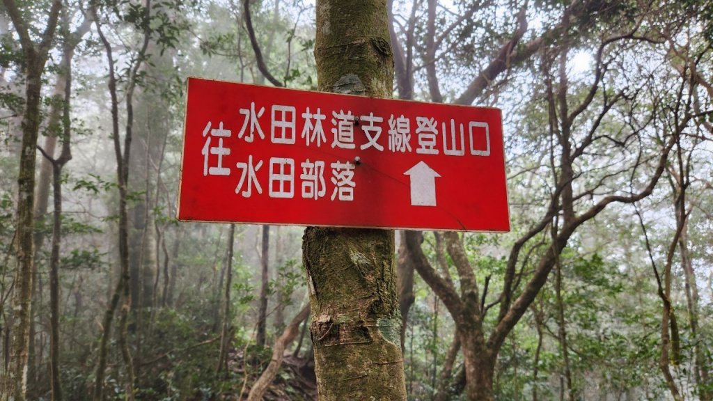 【中級山 】北得拉曼巨木步道，連走內鳥嘴山_2742209