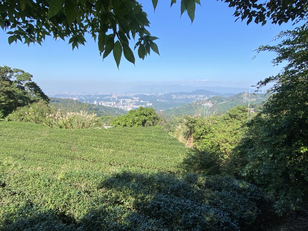 《銀河洞越嶺到貓空｜冬日健行 4 5 公里秘境步道｜親子也適合的台北近郊路線》_2971036