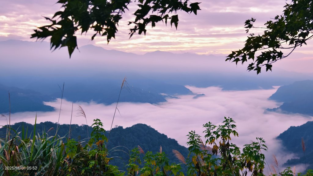 #馬那邦山 #琉璃光 #日出 #雲海 #山羌 #楓葉 10/25 & 11/1_2927308