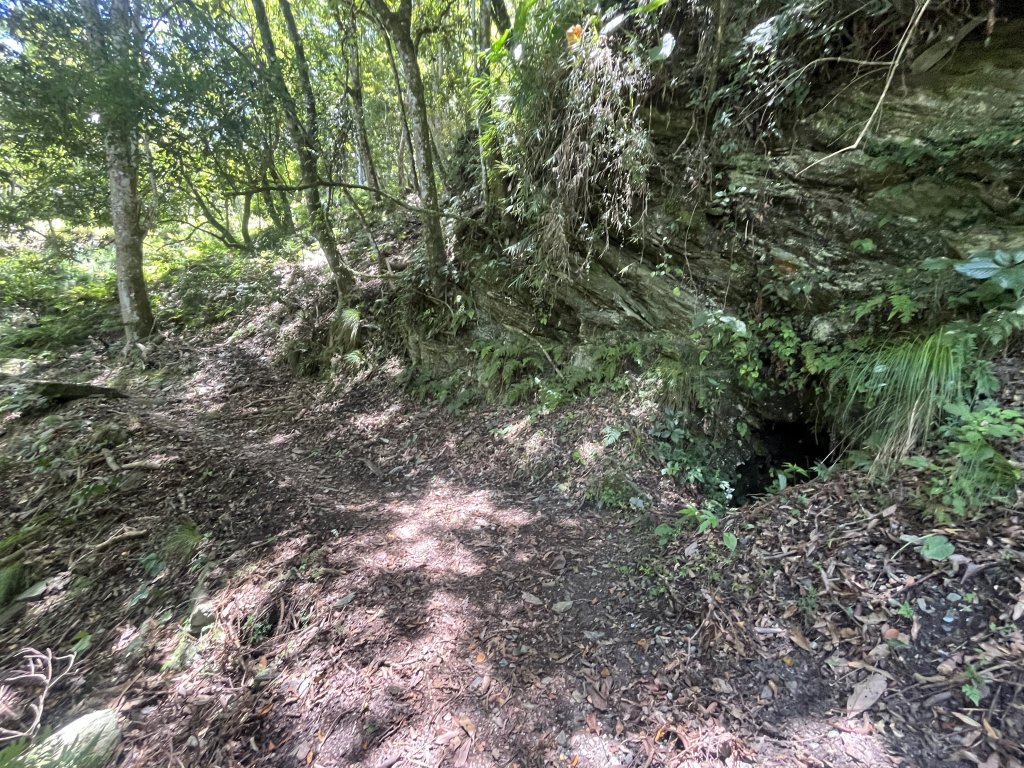 [玉山尋寶任務-03/12] 2025_0810 瓦拉米步道_2857820