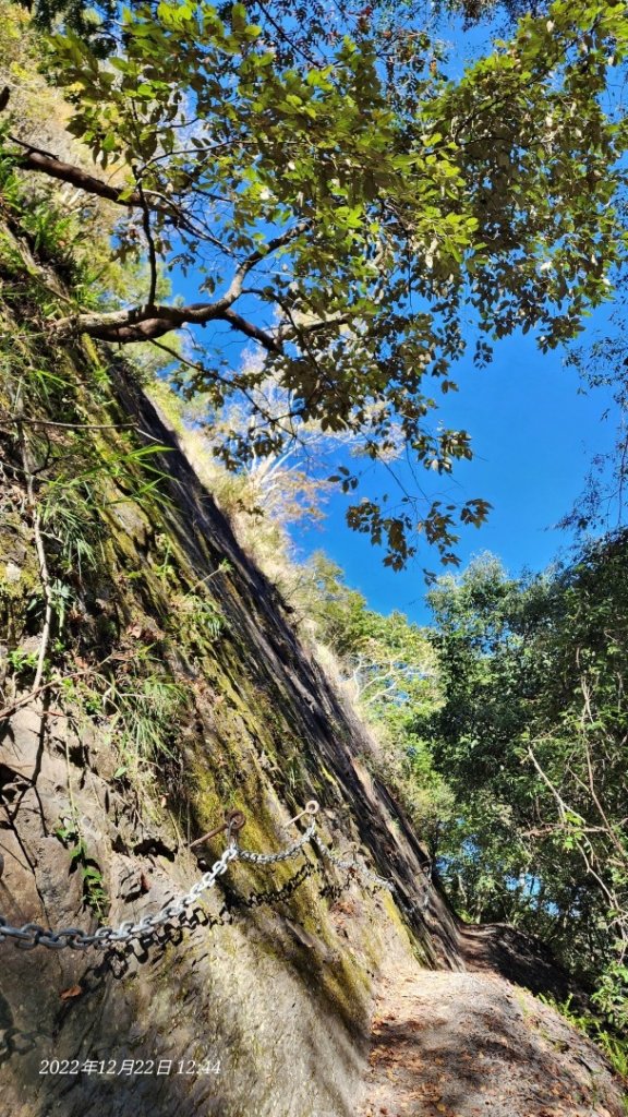 2022霞喀羅古道精華段/養老-白石吊橋賞🍁楓趣_1970428