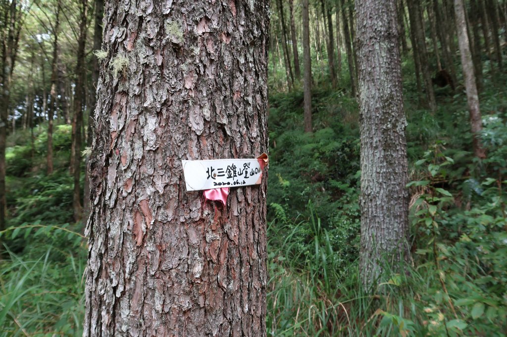 北三錐山_2664305