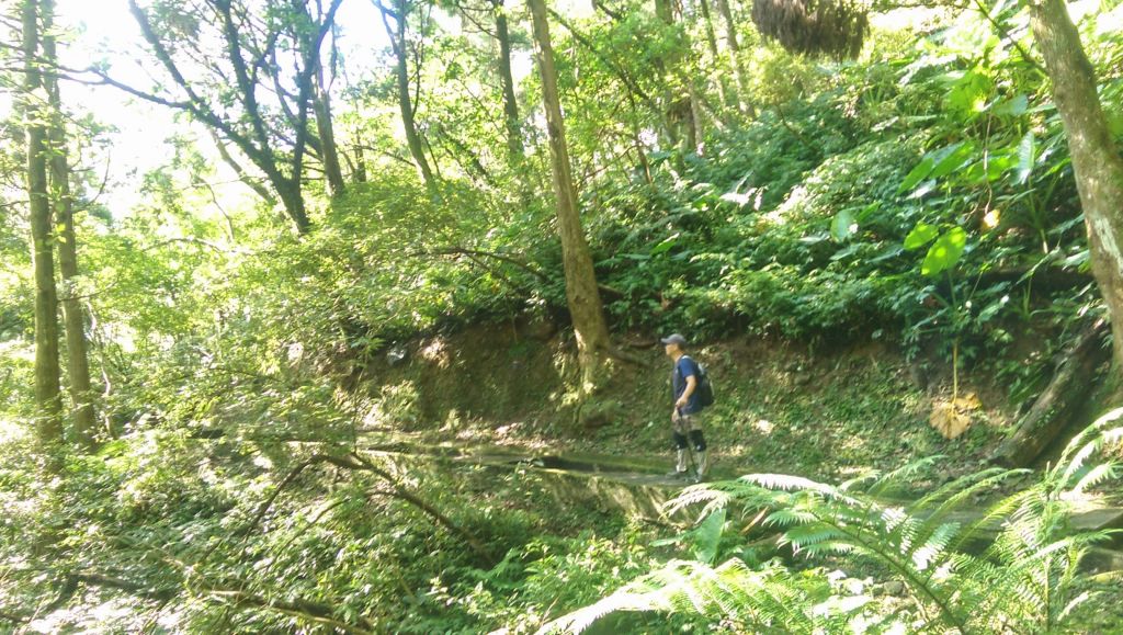 滿月圓國家森林遊樂區_141038