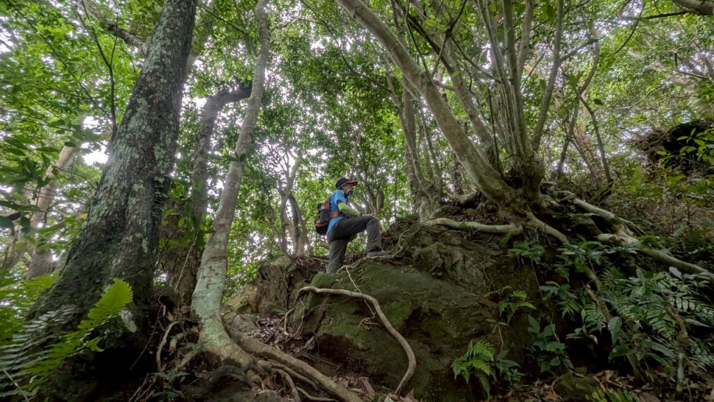114.06.14雙石縱走&石門水庫-石牛山之旅_2812287