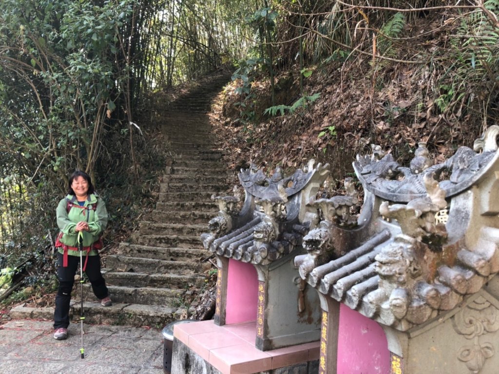 草嶺之旅（賞櫻、桃、李花）_1278193