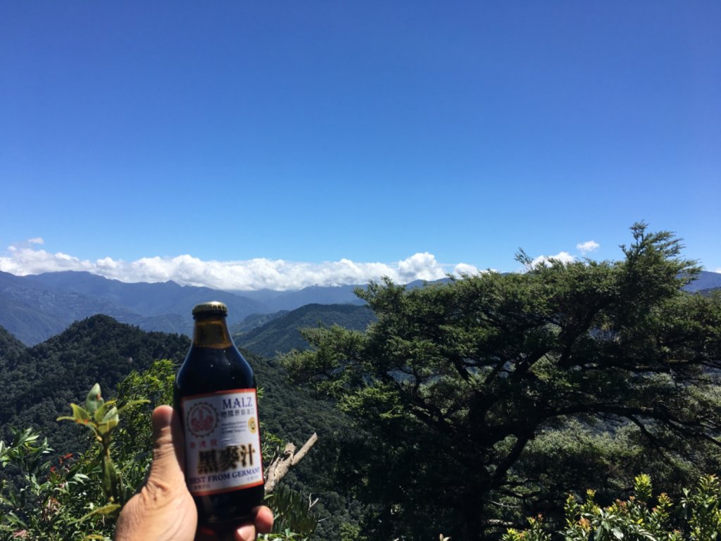 鳥結o. (內鳥嘴、那是山_2595885