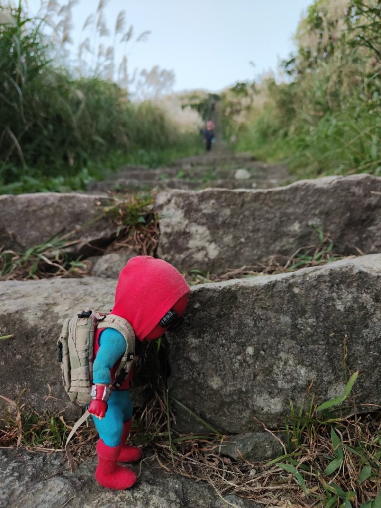 2023.11.28 基隆山_2548001