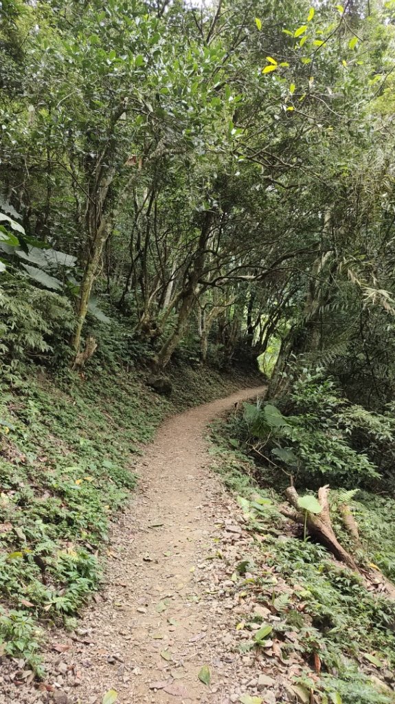 2025/7/5 雲森瀑布群_2839212