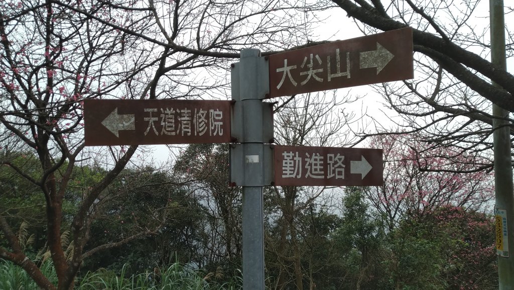 2020.2.28大尖山步道之旅_1411202