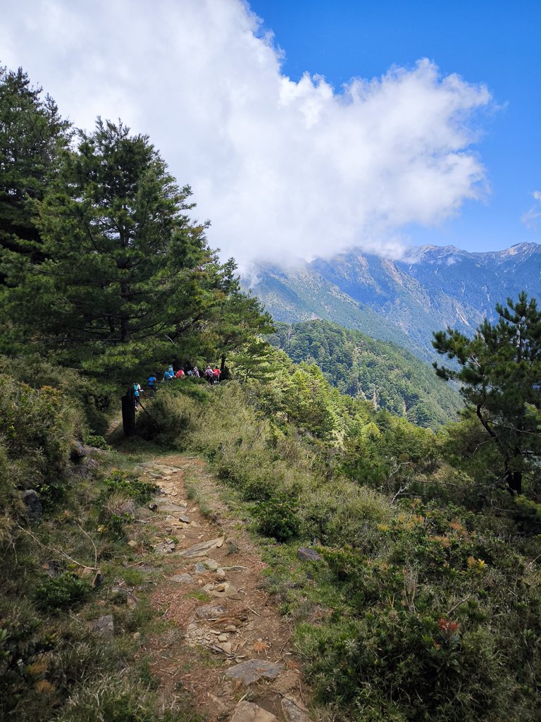 2025-08-24 塔塔加-大鐵杉-鹿林山莊-鹿林前山-鹿林山-黑森林-玉山登山口-上東埔_2869151