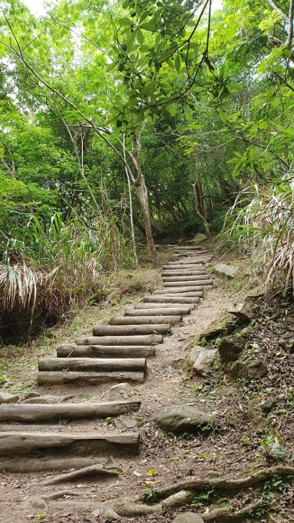 藍天白雲的錐麓古道真是美極了_1016067