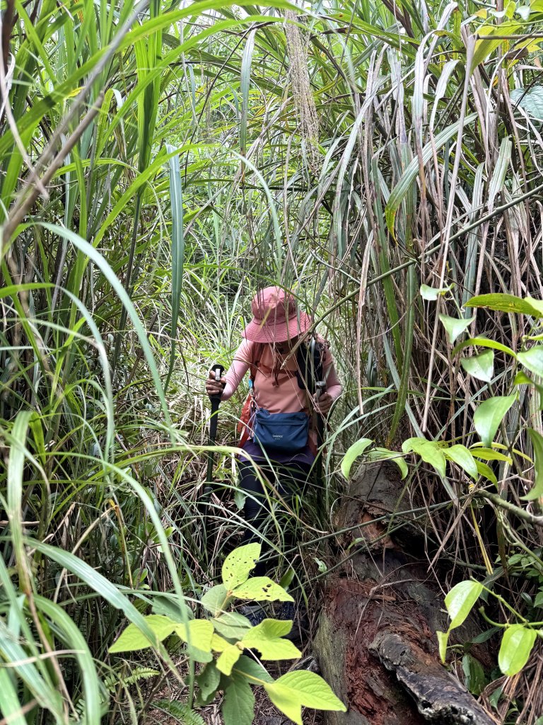 司馬限林道 訪 北坑駐在所_2811074