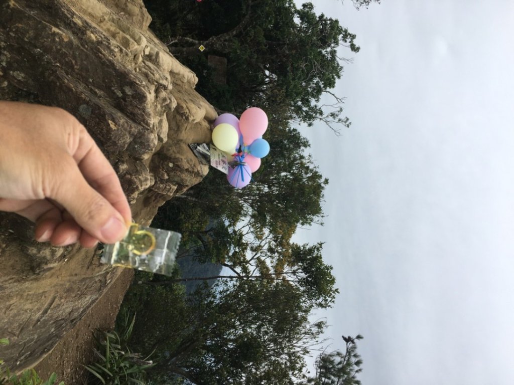 慶元旦（🎉🍾️2025-01-01🍾️🎊_2680645