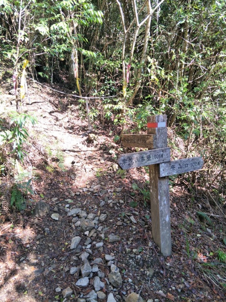 小百岳:李凍山_1619249