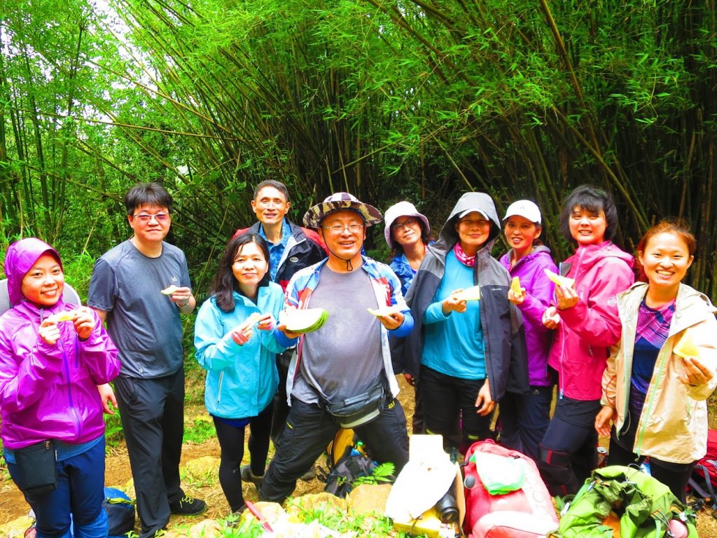 最美百年山徑：淡蘭中路中坑古道_971250