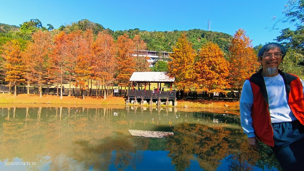 雙溪公園賞花&原住民公園落羽松&故宮1/14封面圖