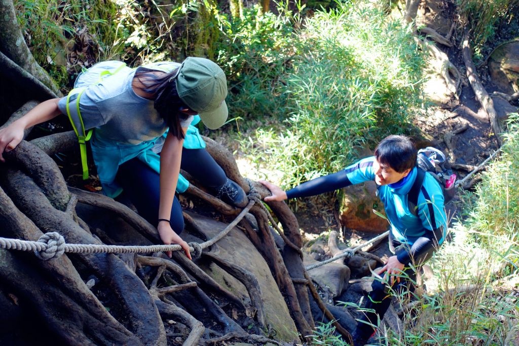 苗栗。加里山 大O型 2018.03.1_293810