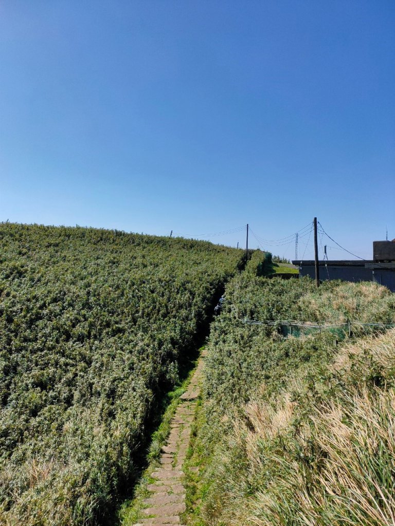 大屯山泥巴滑溜溜_914420