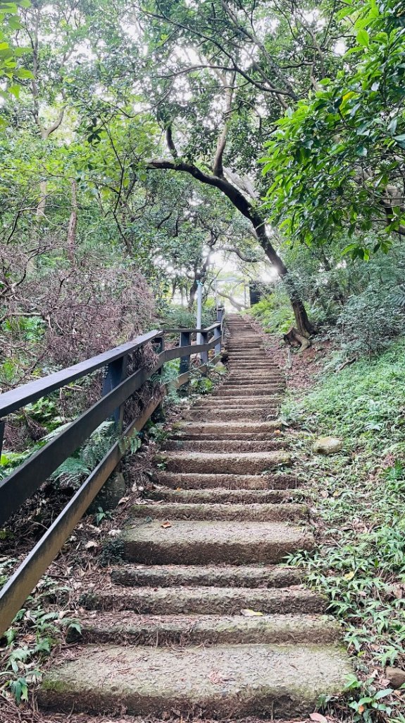 孫龍步道_2865016