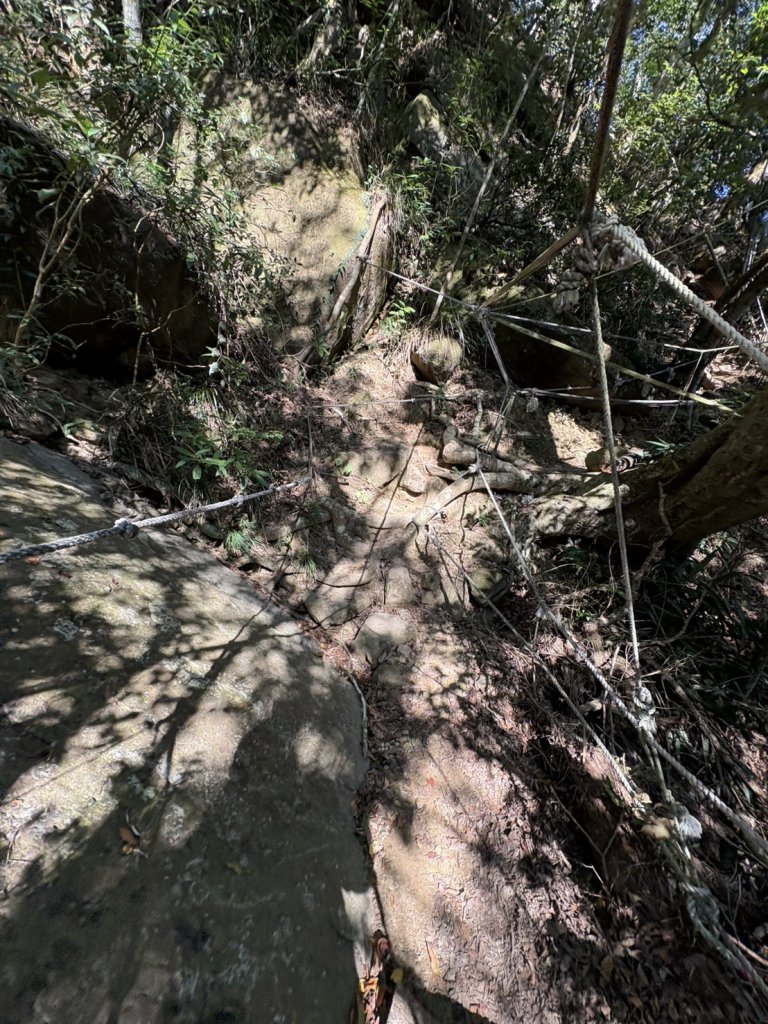 20251123台南－獵鷹尖一線天步道_2944552