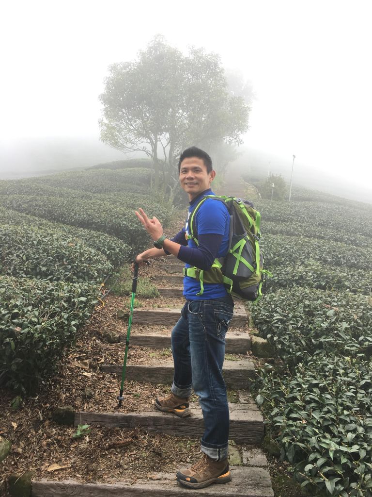 雲霧茶竹杉櫻-菜色澎湃的頂石棹仙境春遊_106801