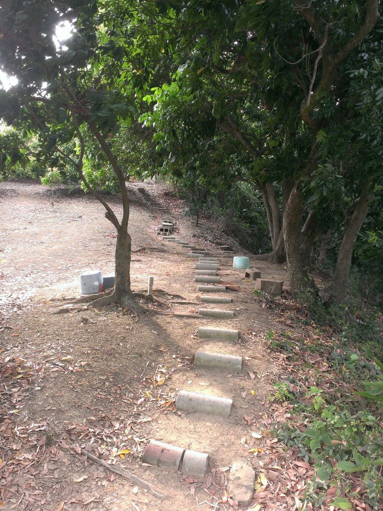 太平淨德寺步道-走走_304786