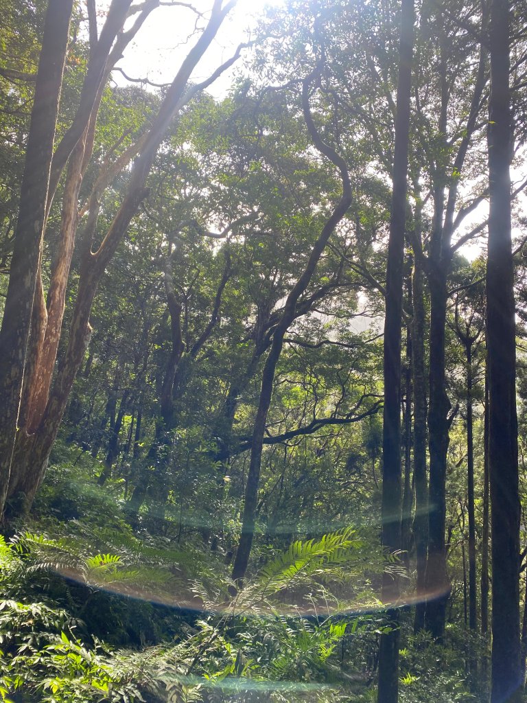 1110131東滿步道_2652329